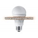 LED Downlight